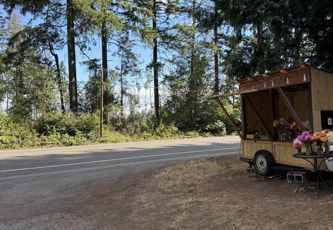 The Wildwood Hollow Farm stand, a wooden cart of flowers on the verge of Key Peninsula Highway