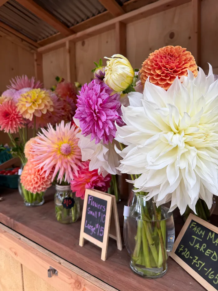 Jars of cut dahlias on the farm stand shelf beside handwritten chalkboard price signs