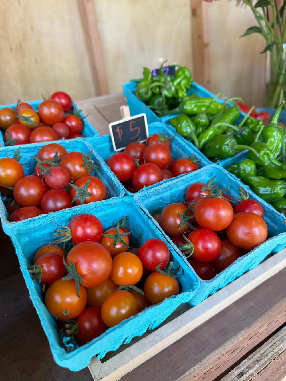 Pints of cherry tomatoes and peppers on the stand shelf at Wildwood Hollow Farm
